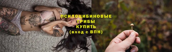 прущая мука Арсеньев